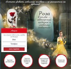 Живая роза в колбе