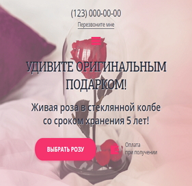 Живая роза в колбе